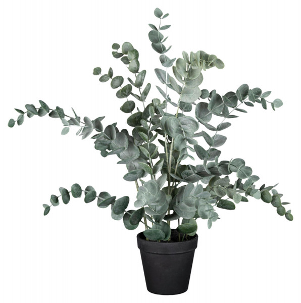 Kunstpflanze Eukalyptus HELENAS