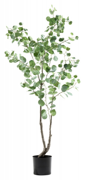 Kunstpflanze Eukalyptusbaum IMELDAS